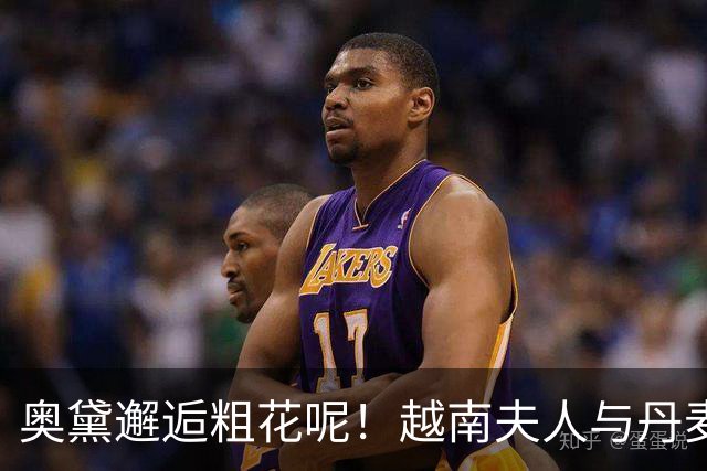 奥黛邂逅粗花呢！越南夫人与丹麦玛丽王后，外交红毯上演东西方美学碰撞